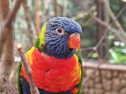 IMG_20240504_120606_1.jpg