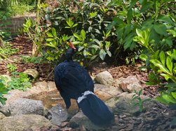 IMG_20240504_121513.jpg