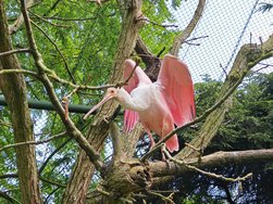 IMG_20240504_122654.jpg