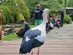 IMG_20240504_122750.jpg