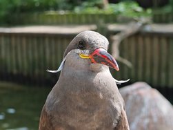 IMG_20240504_123218.jpg