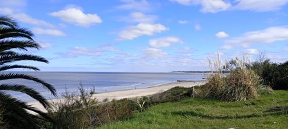 IMG_20240504_130015.jpg