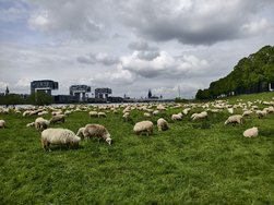 IMG_20240425_134811.jpg