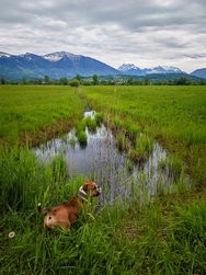 IMG_20240505_122923.jpg