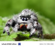 csm_Vivo-X100-Ultra-Kamera-Samples-offiziell-12_893e1fa4b3.jpg