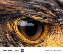 csm_Vivo-X100-Ultra-Kamera-Samples-offiziell-11_c876e98f9c.jpg