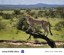 csm_Vivo-X100-Ultra-Kamera-Samples-offiziell-14_be861bacd0.jpg