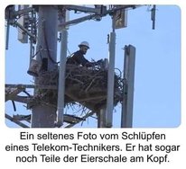 FB.jpg