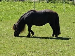 20240510_111832.jpg