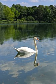 IMG_20240510_160344.jpg