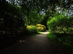 20240510_164654.JPG