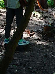 20240510_164731.JPG
