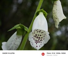 IMG_20240510_194700.jpg