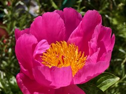 IMG_20240511_105036.jpg