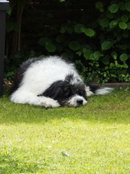 IMG_20240512_115641.jpg