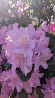 PXL_20240512_095843620.jpg