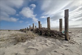 20240315_152124b.jpg