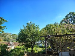 IMG_20240512_165828002_HDR.jpg