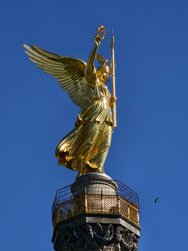 IMG_20240512_162033.jpg