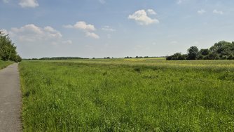 20240510_124531.jpg