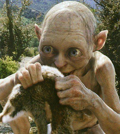 gollum brings froyo.jpg