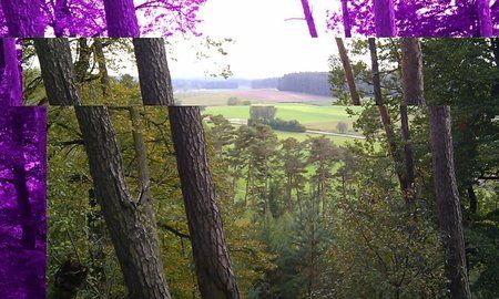IMAG0045.jpg