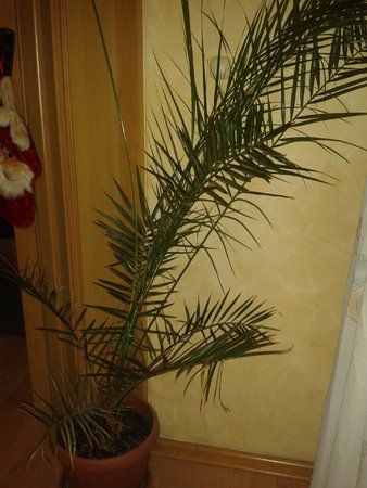 20121221_154906.jpg
