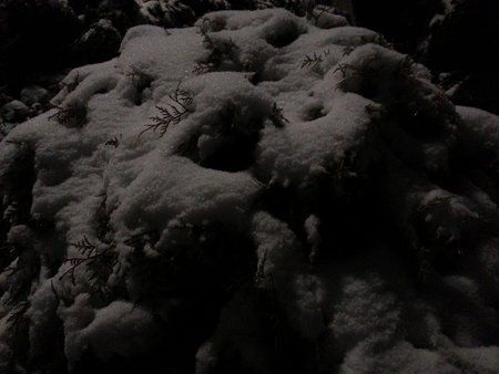 20121221_170314.jpg