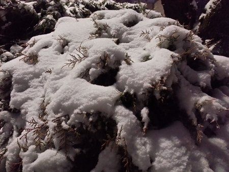 20121221_170329_LLS.jpg