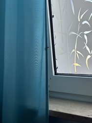 IMG_1156.jpeg