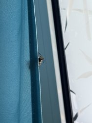 IMG_1157.jpeg