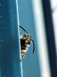 IMG_1159.jpeg
