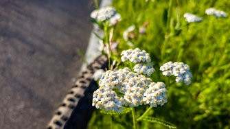 20240514_071219.jpg