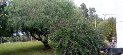 IMG_20240514_110742.jpg