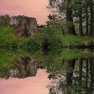 1000025904_mirror.jpg