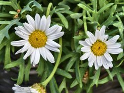 IMG_20240516_123223[1].jpg