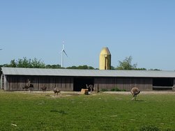 20240516_140408.JPG
