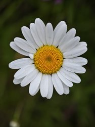 IMG_20240516_195824.jpg
