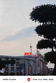 006hCzJFgy1hprt04iunej32dc3goqv6.jpg