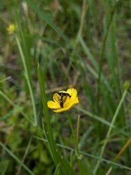 PXL_20240518_132517441.jpg