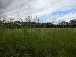 PXL_20240518_134733324.jpg