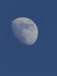 20240518_200641.jpg
