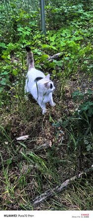 IMG_20240517_210216_083219.jpg