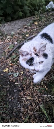 IMG_20240517_210239_083158.jpg