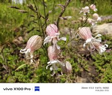 IMG_20240519_130537.jpg