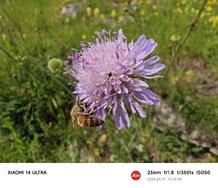 IMG_20240519_130440.jpg