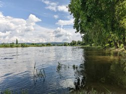 AGC8_20240519_163925978.jpg