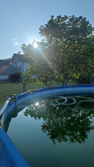 IMG_20240520_192915.jpg
