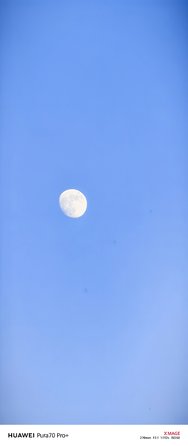 IMG_20240520_202537_091401.jpg
