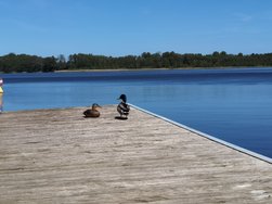 IMG_20240513_113033.jpg